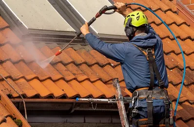 Démoussage et hydrofuge de toiture à Pietralba